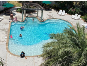 Ocean View Beach Front Condo with Heated Swimming Pools 391